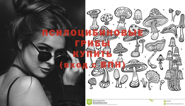 прущие грибы Алексин
