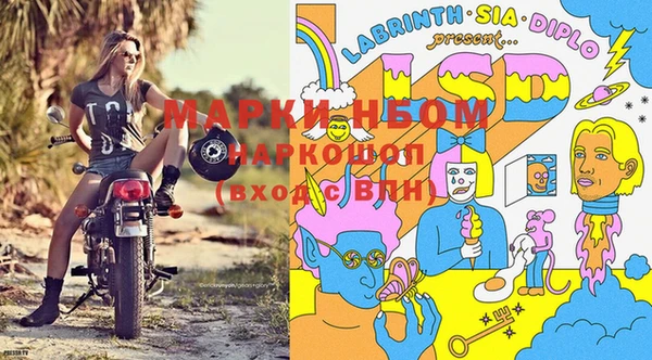 PSILOCYBIN Алексеевка